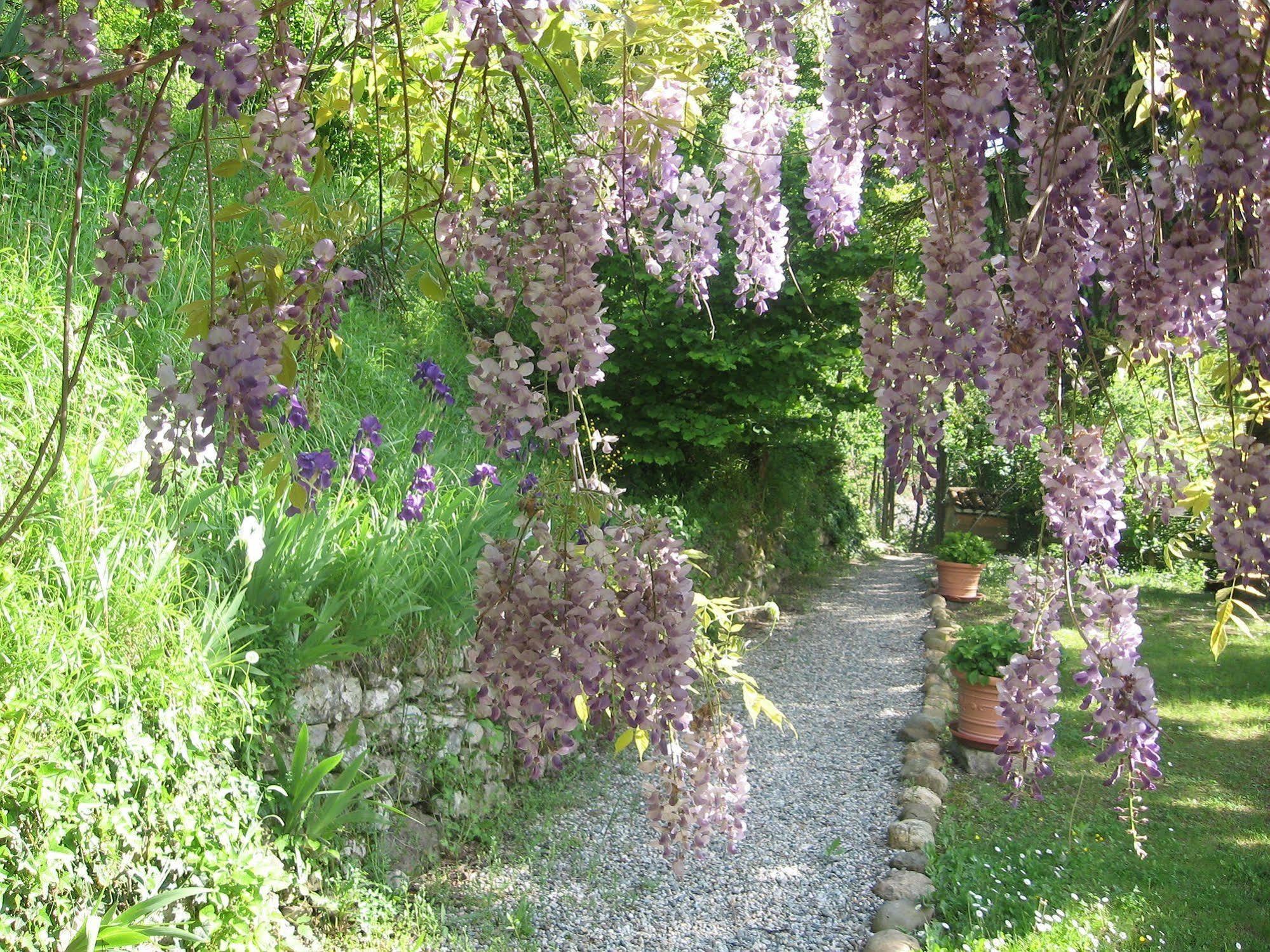 Agriturismo Cascina Tollu San Giacomo (Piedmont) Exterior foto